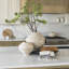 Vase de table Cerenity-2020437201