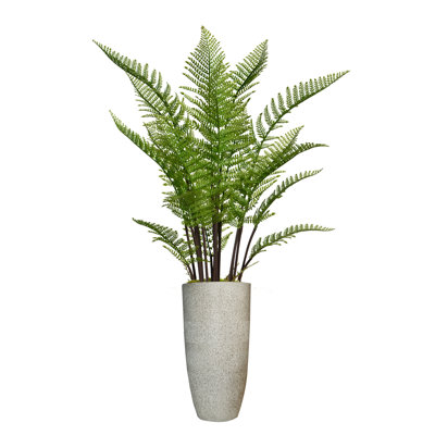 Panama 56" Artificial Fern Tree in Planter