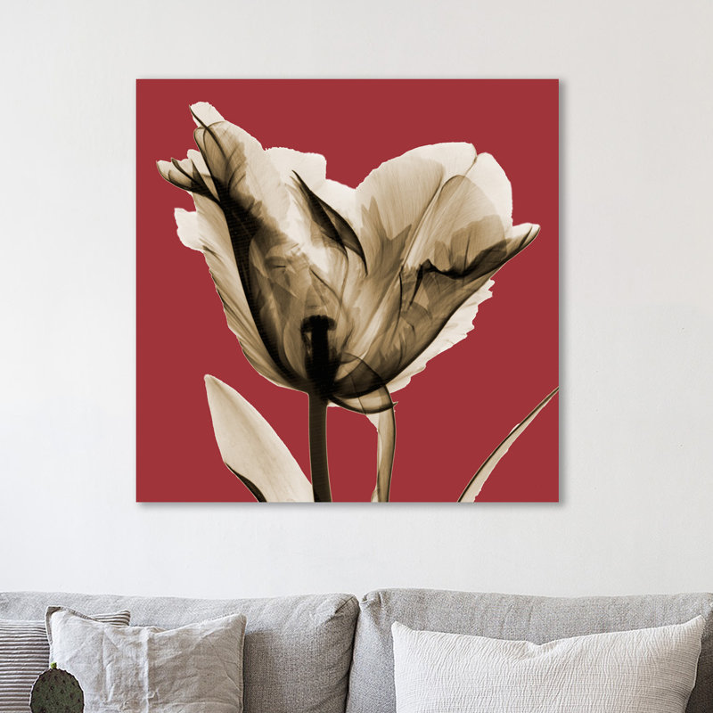 Red Luster Tulip_H30 - Wrapped Canvas Print, 30cm H x 30cm W