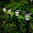 Low Voltage Solar Powered Integrated LED Pathway Light Pack