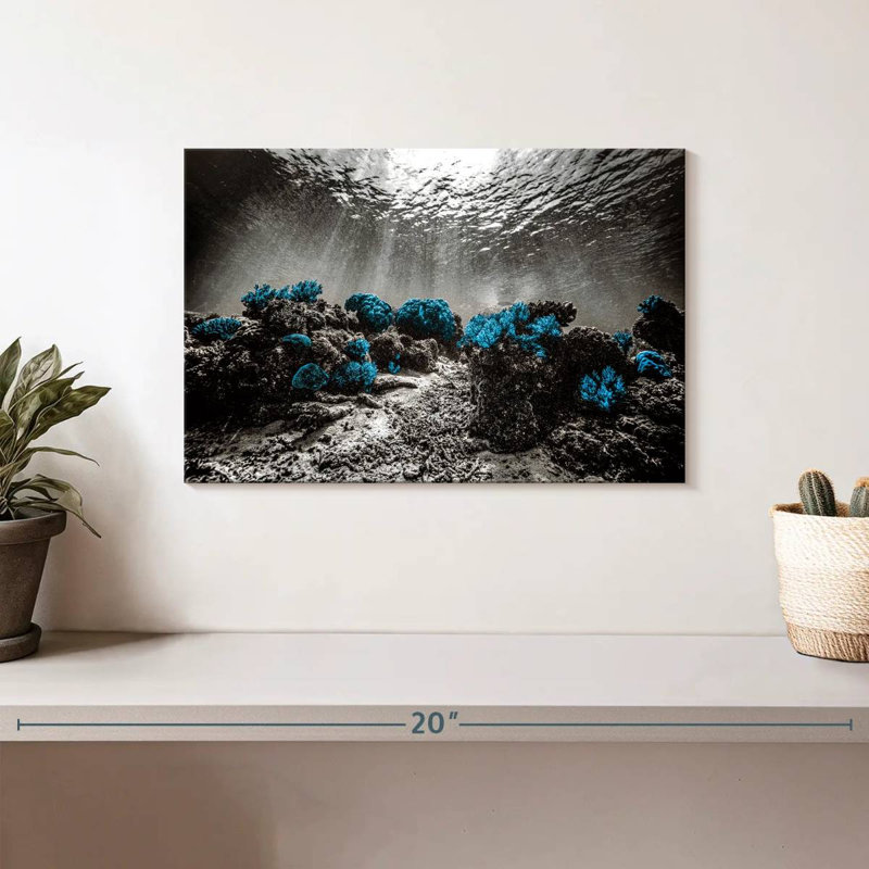 Brampt Indonesian Coral Reefs Pop, 8" H x 12" W