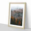 Misty Forest in the Autumn - Picture Frame Painting Print-56737976-56737979