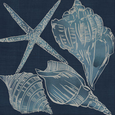 Coquillages marins III