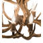 Rustic Lodge 8 - Light Chandelier