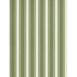 Arlo Stripe