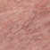 Machine Washable Indoor/Outdoor Claudian ACN1631 Terracotta Rug