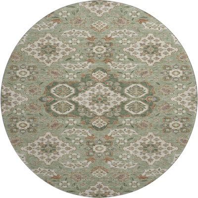 Premium Machine Washable Xamiera AMF1853 Global Rug