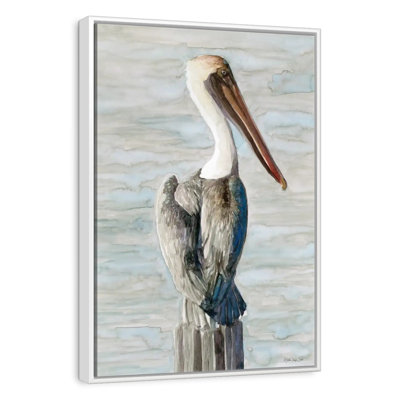 Classic Brown Pelican