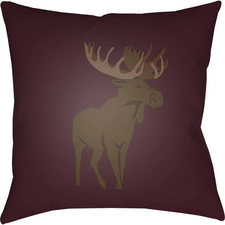Indoor/Outdoor Throw Pillow