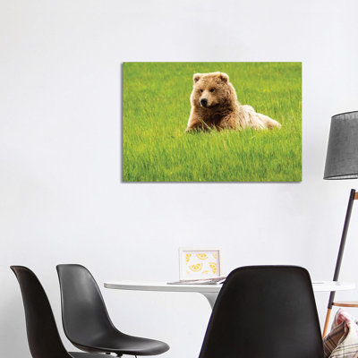 Grizzly Bearon Grass by George Theodore - Wrapped Canvas Print