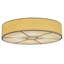 8 - Light Flush Mount