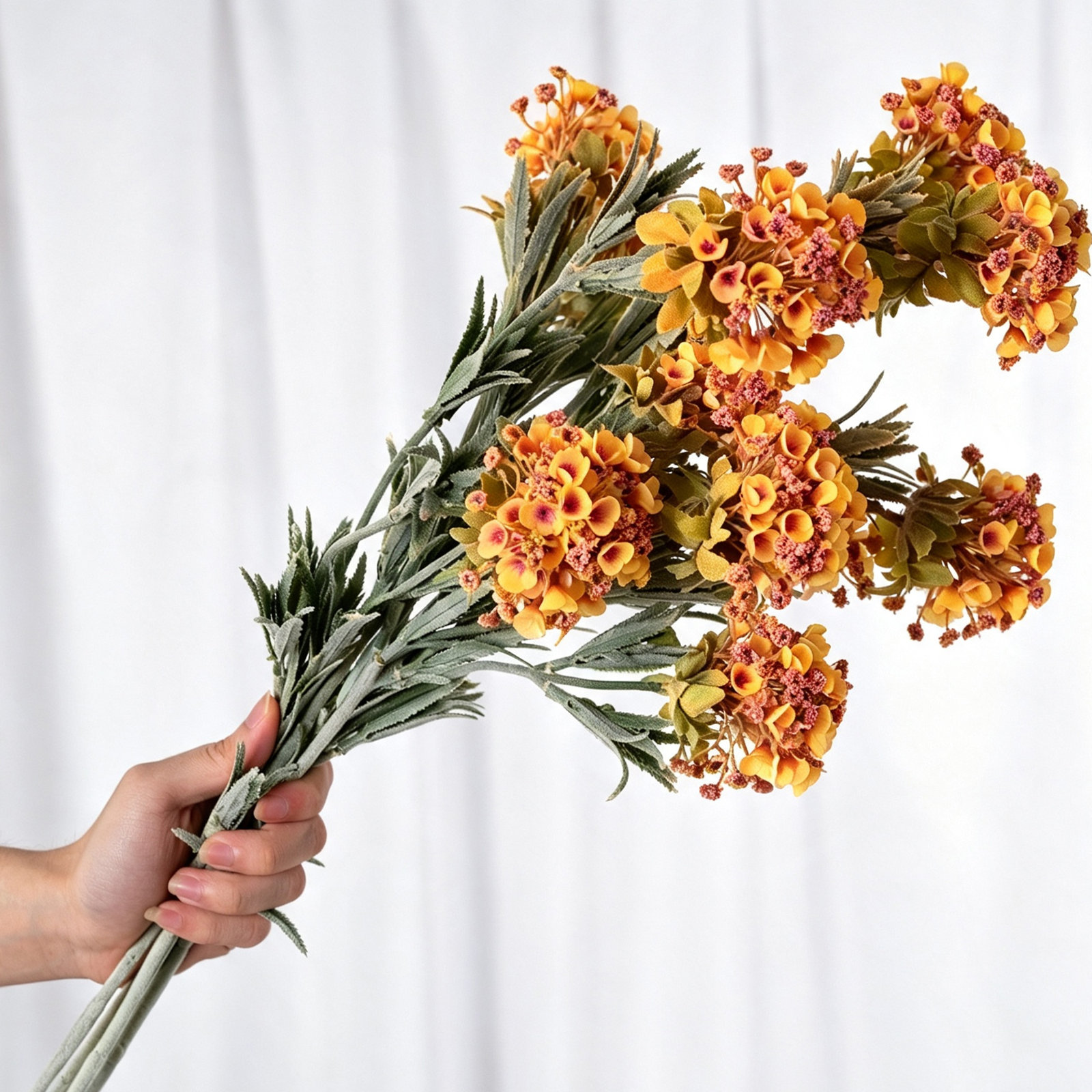 Audet Sweet Alyssum Stems, Orange