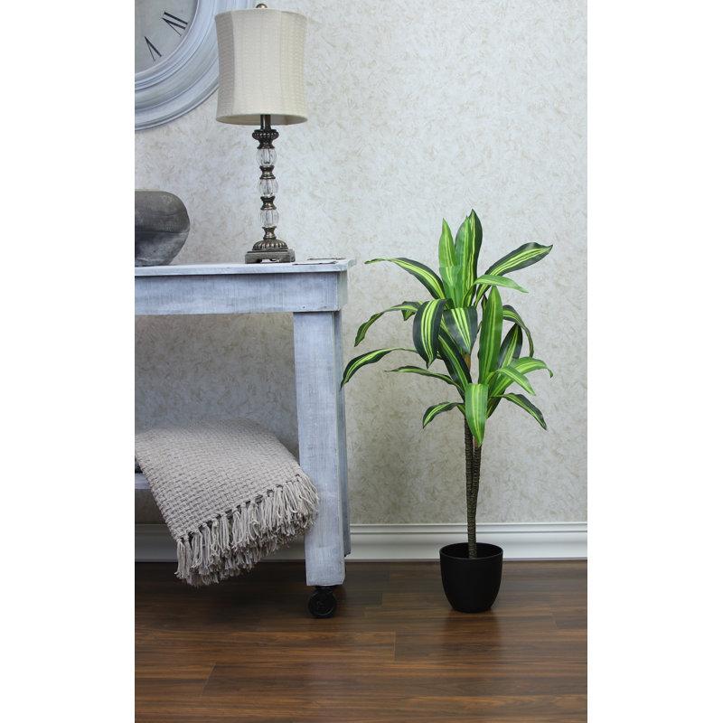 Arbre Dracaena en soie 40 po