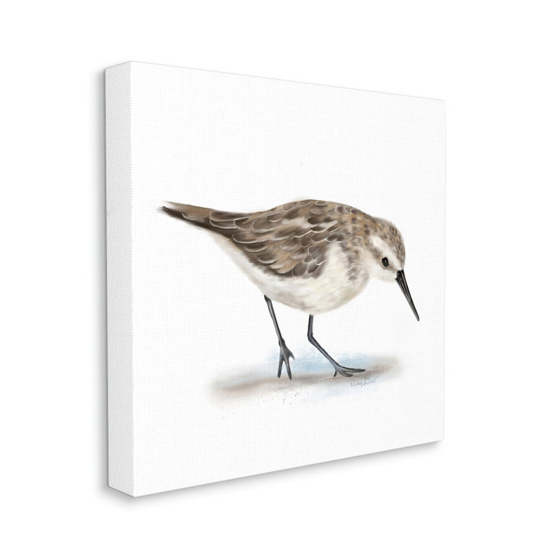 Charmant bécasseau sur un sable doux, oiseau nautique brun - impression, H 17 po x l 17 po, Toile tendue