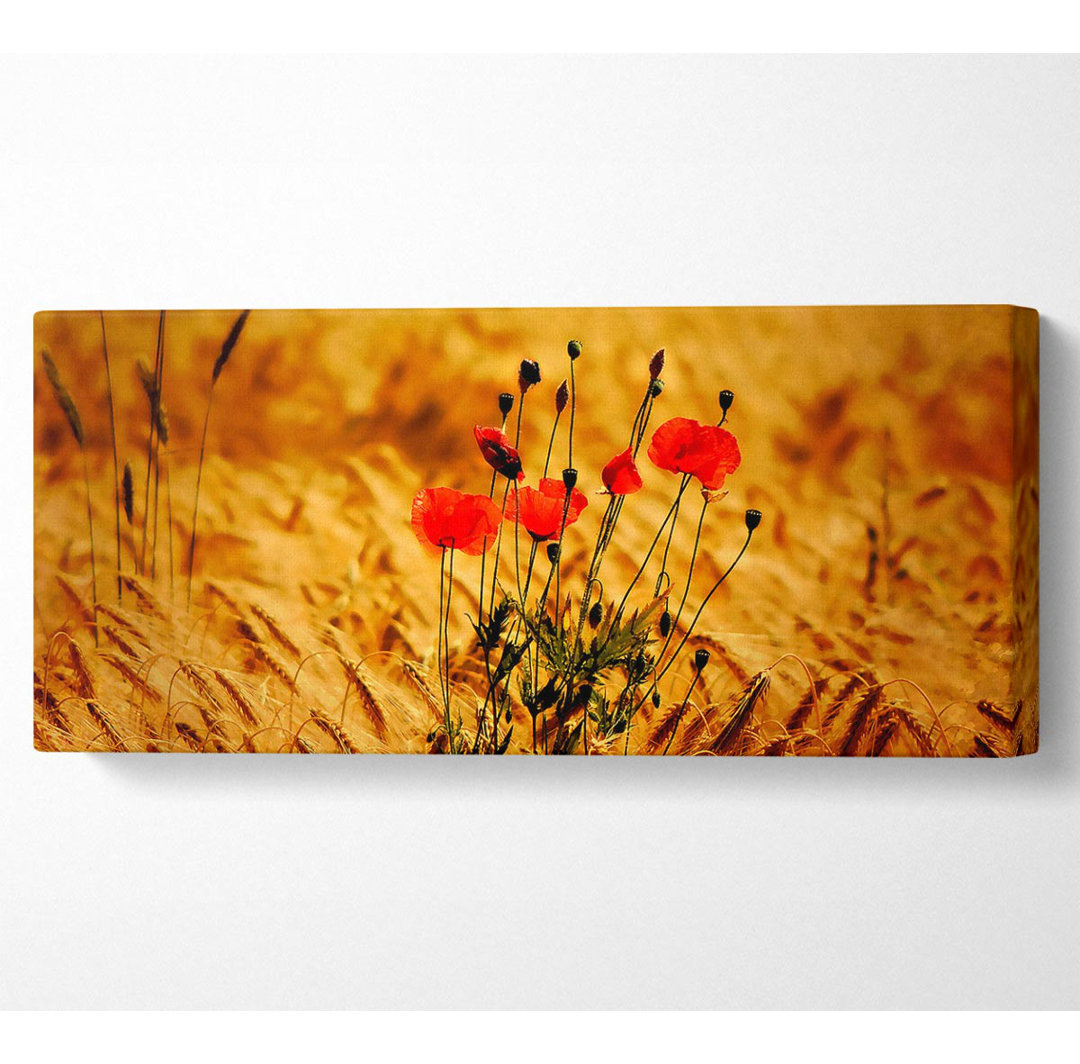 Mohnblumen 3 - Wrapped Canvas Kunstdrucke