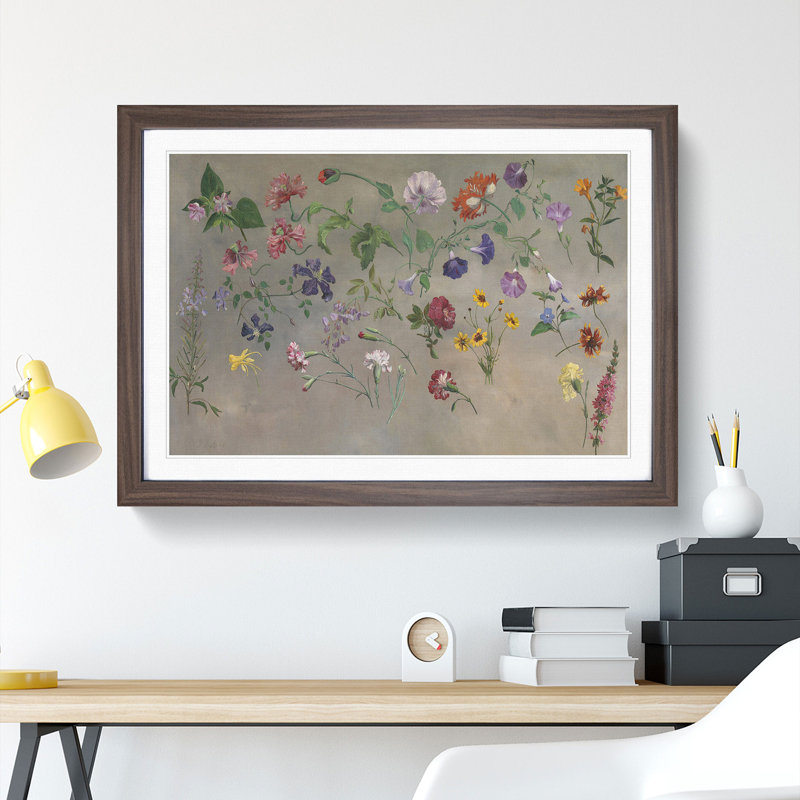 Studies of Flowers Vol.1 by Jacques-Laurent Agasse - Picture Frame Painting, Walnut Framed, 36cm H x 48cm W x 2cm D