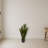 Sansevieria Silk Plant with Black Planter