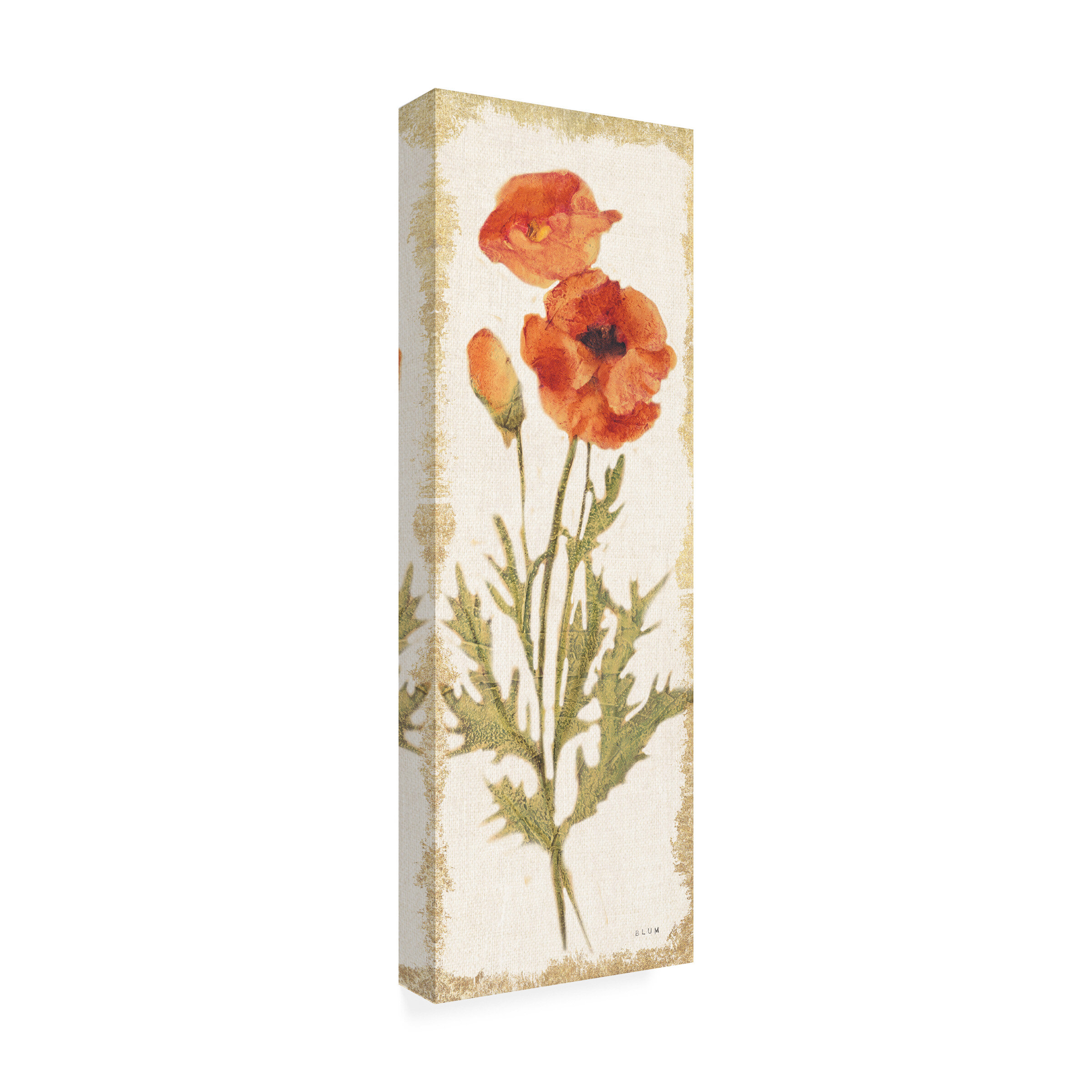 Icanvas Poppy Panel Light By Cheri Blum 3-piece Wall Art, 56% Off