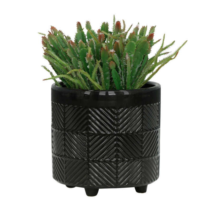 Jardinières en céramique polyvalentes pour tous les décors, rehaussant votre verdure, Noir