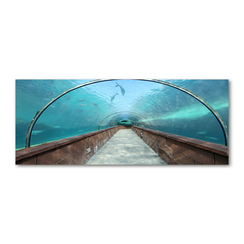 The Tunnel Of The Aquarium - No Frame Print on Canvas