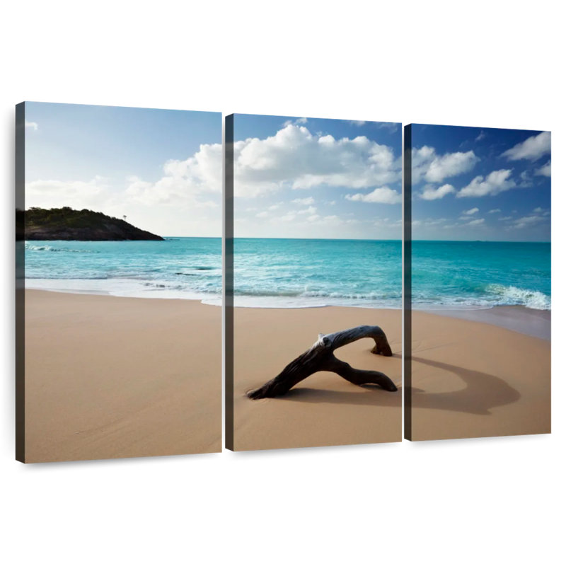 Gillard Driftwood sur la plage des Caraïbes, H 36 po x l 57 po