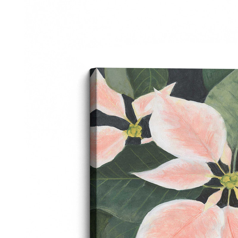 «Pastel Poinsettias I» par Michael Willett, reproduction d'art sur toile, H 36 po x l 48 po