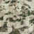 Square 6'