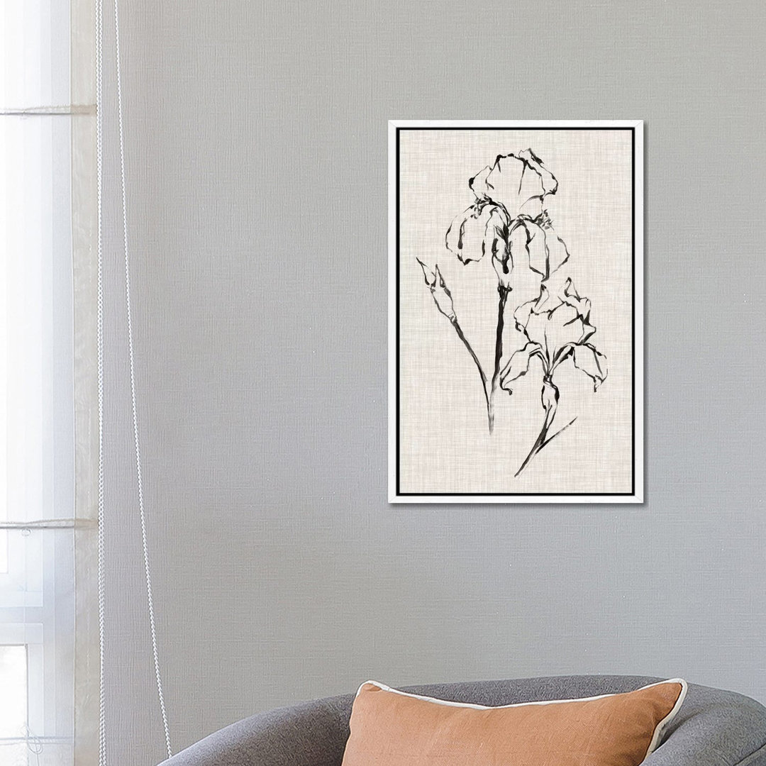 Floral Ink Study II von Ethan Harper - Galerieverpackte Leinwand Giclée auf Leinwand