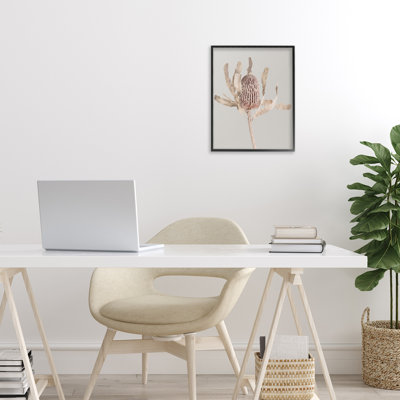 Australian Banksia Botanical Framed Giclee, design by Sisi and Seb