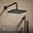 Honesty Rite-Temp Showering Kit 2.5 GPM-98958557