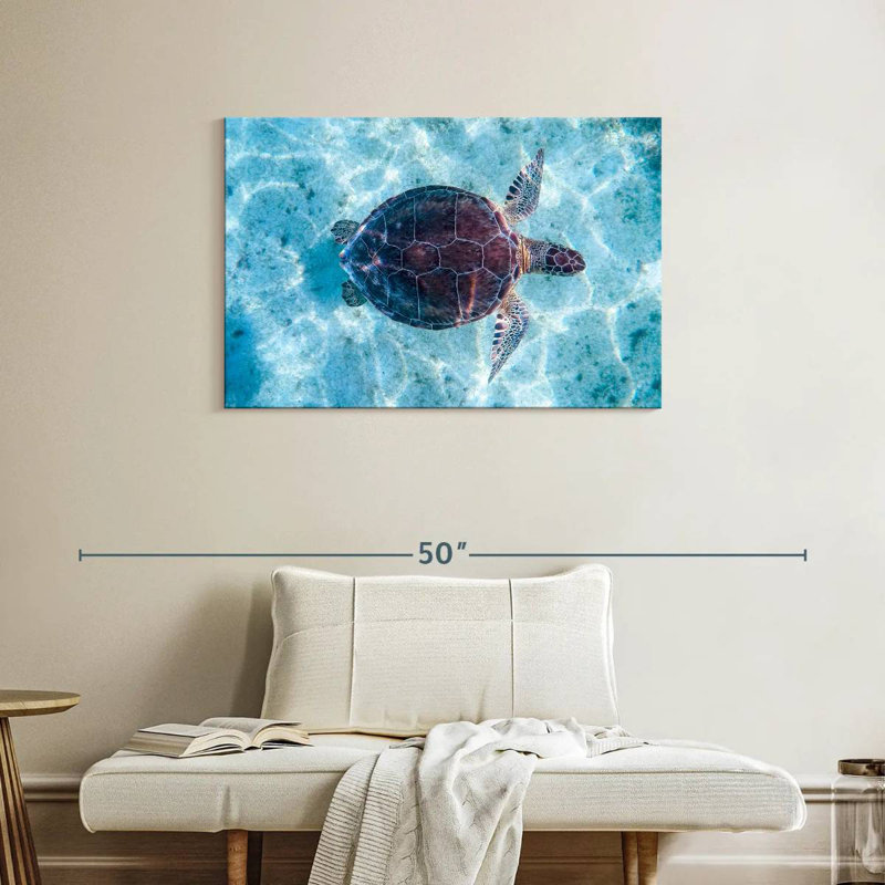 Brampt Turtle Swimming, 24" H x 36" W