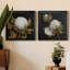 Cotton Balls I - Cadre photo-1492861058-1492861059-1492861060