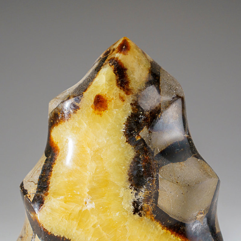 Forme libre de flamme septarienne de Madagascar (1,8 lb)