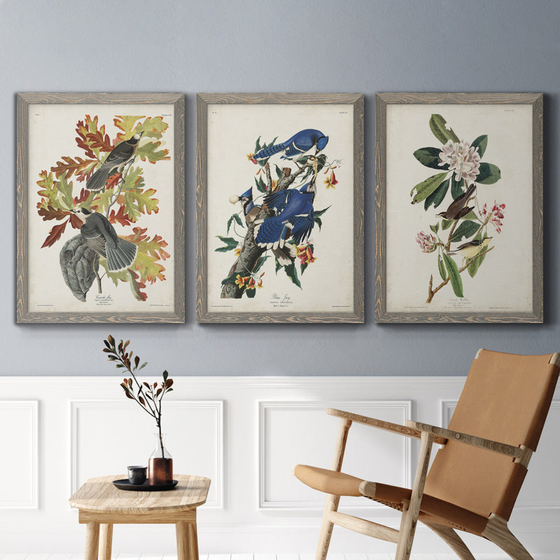 Pl 107 Canada Jay - ensemble de 3 peintures sur toile encadrées, Gris, H 37,5 po x l 82,5 po x P 1,5 po