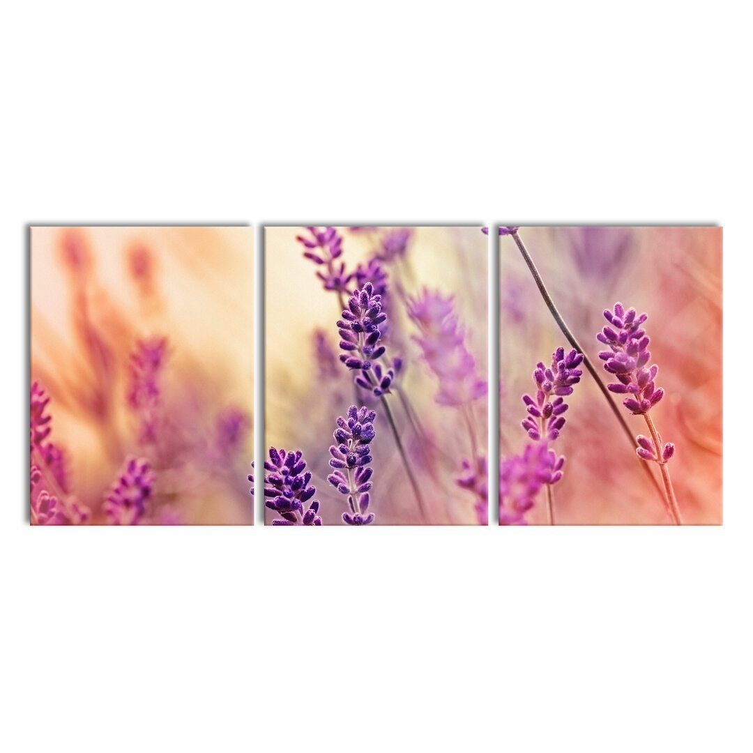 3-tlg. Leinwandbilder-Set Elegant Lavender