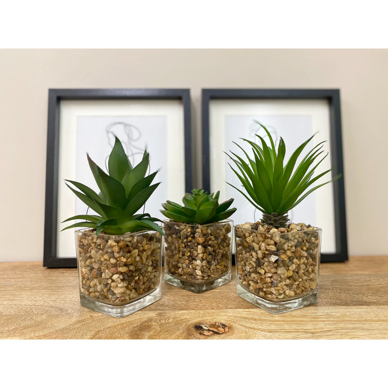 19cm Faux Succulent Plant in Glass Pot
