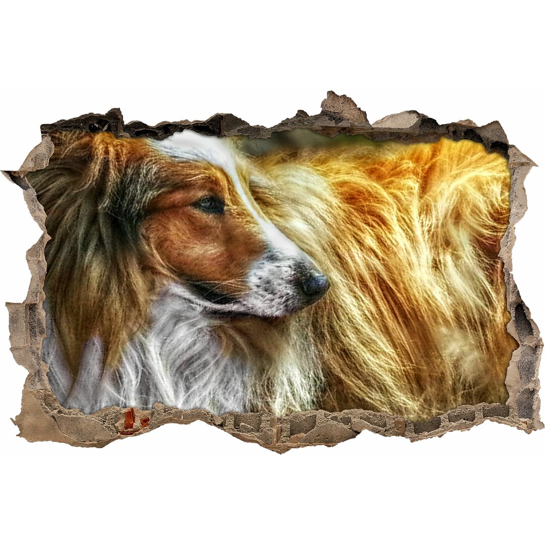 Schöner süßer Collie Wandaufkleber