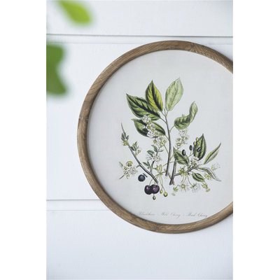 S/4 D19.7" Flora Print Round Frame