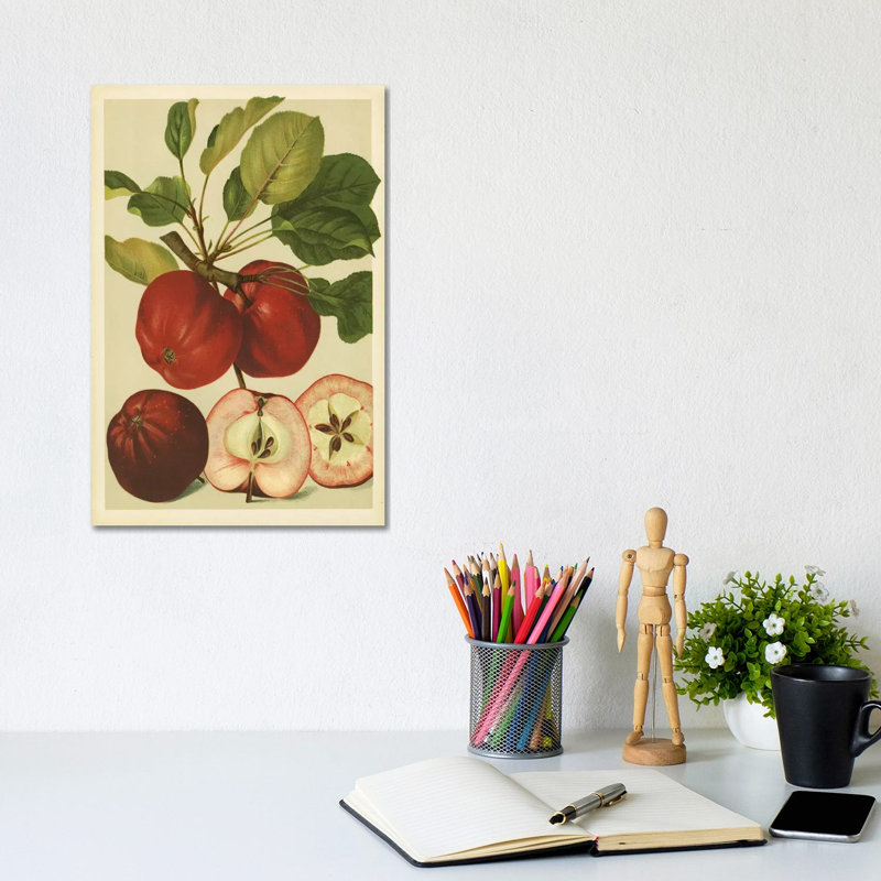 Red Veli Apples - Wrapped Canvas Print, 20.32 cm H x 30.48 cm W