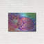 «Rainbow Cat In The Clouds» par Rebecca Wang, art mural en métal-1495069485