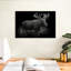 Monochromatic Bull Moose-107676767