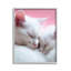«Sleeping Cats on Pink», estampe numérique encadrée par RB-98909789-98909785