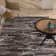 Floreat Abstract Indoor Rug