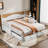 Coshow Daybed-1757939762