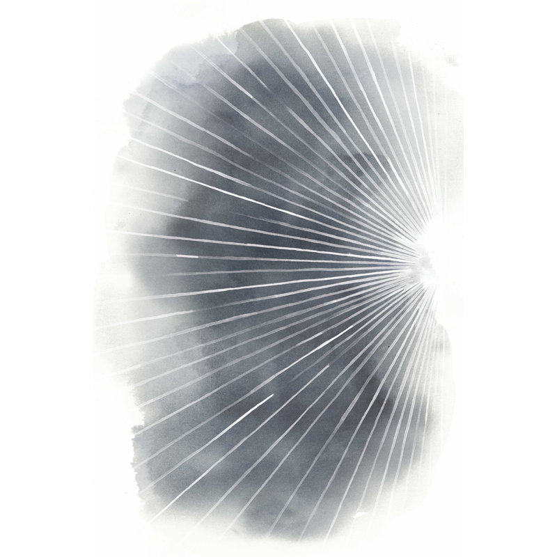 Rayons I, H 18 po x l 12 po