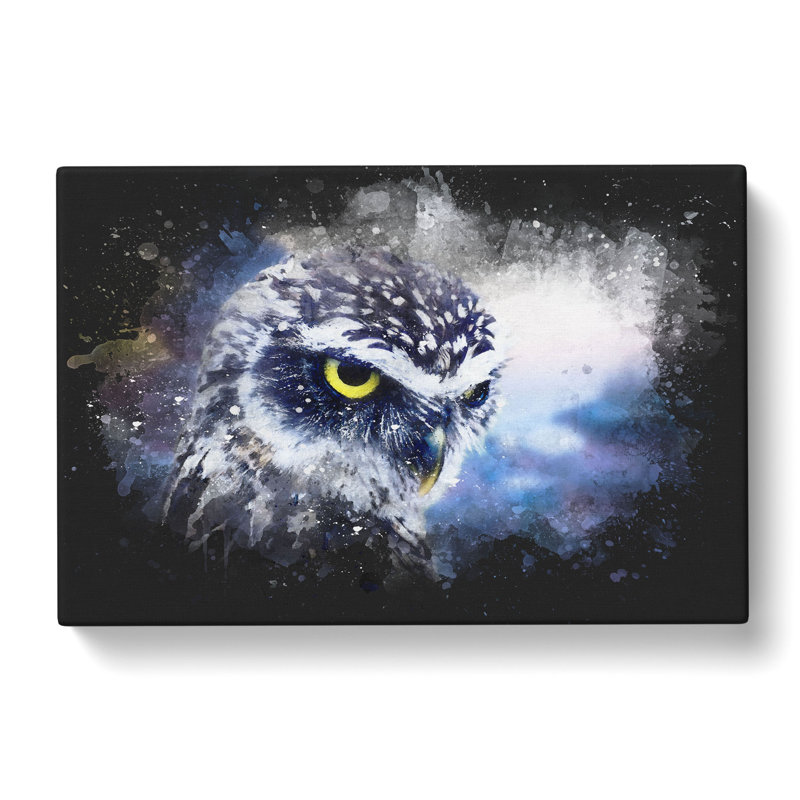 Owl In Nepal - Wrapped Canvas Painting, 40cm H x 60cm W x 3cm D