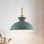 Luminaire suspendu simple 1 lumière