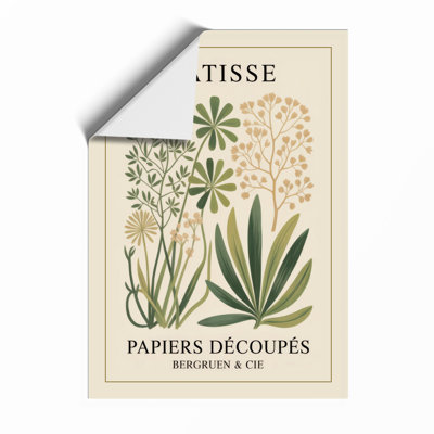 Matisse Collection Botanical - Framed Print