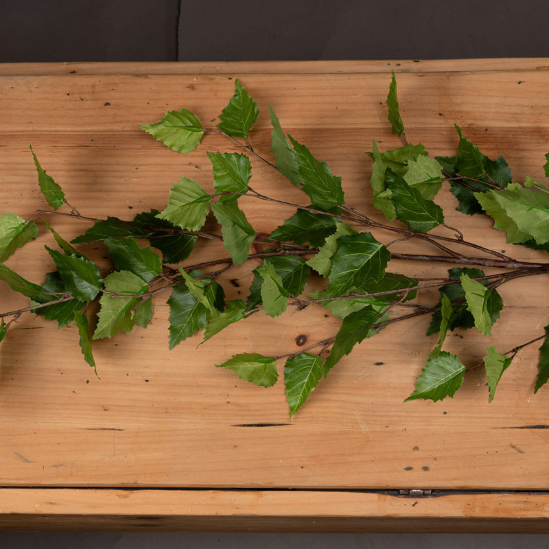 Anastasija Arrangement