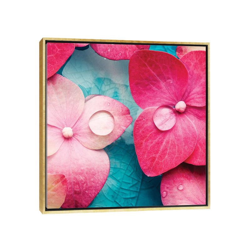 «Pink Flowers» par PhotoNC Studio - reproduction de photo sur toile tendue, H 12 po x l 12 po x P 1,5 po, Pas de tapis